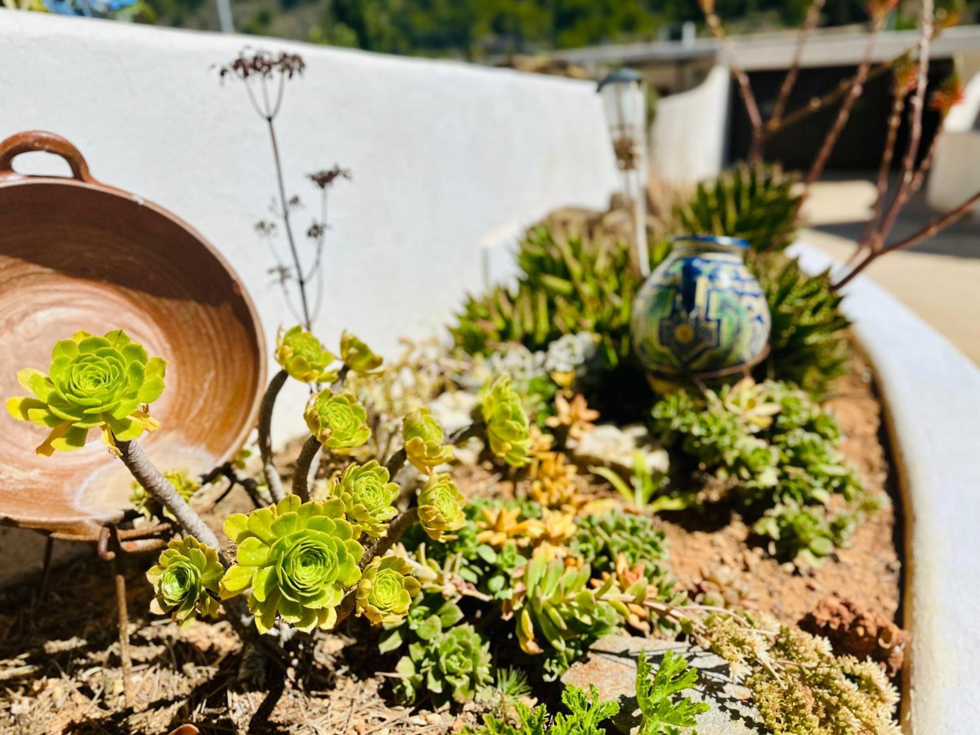 Finca Ocha - Calblanque Los Belones Exterior photo