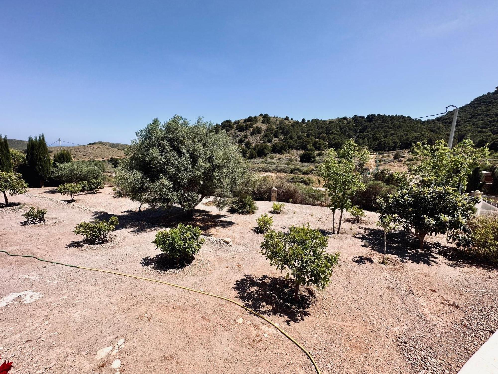 Finca Ocha - Calblanque Los Belones Exterior photo