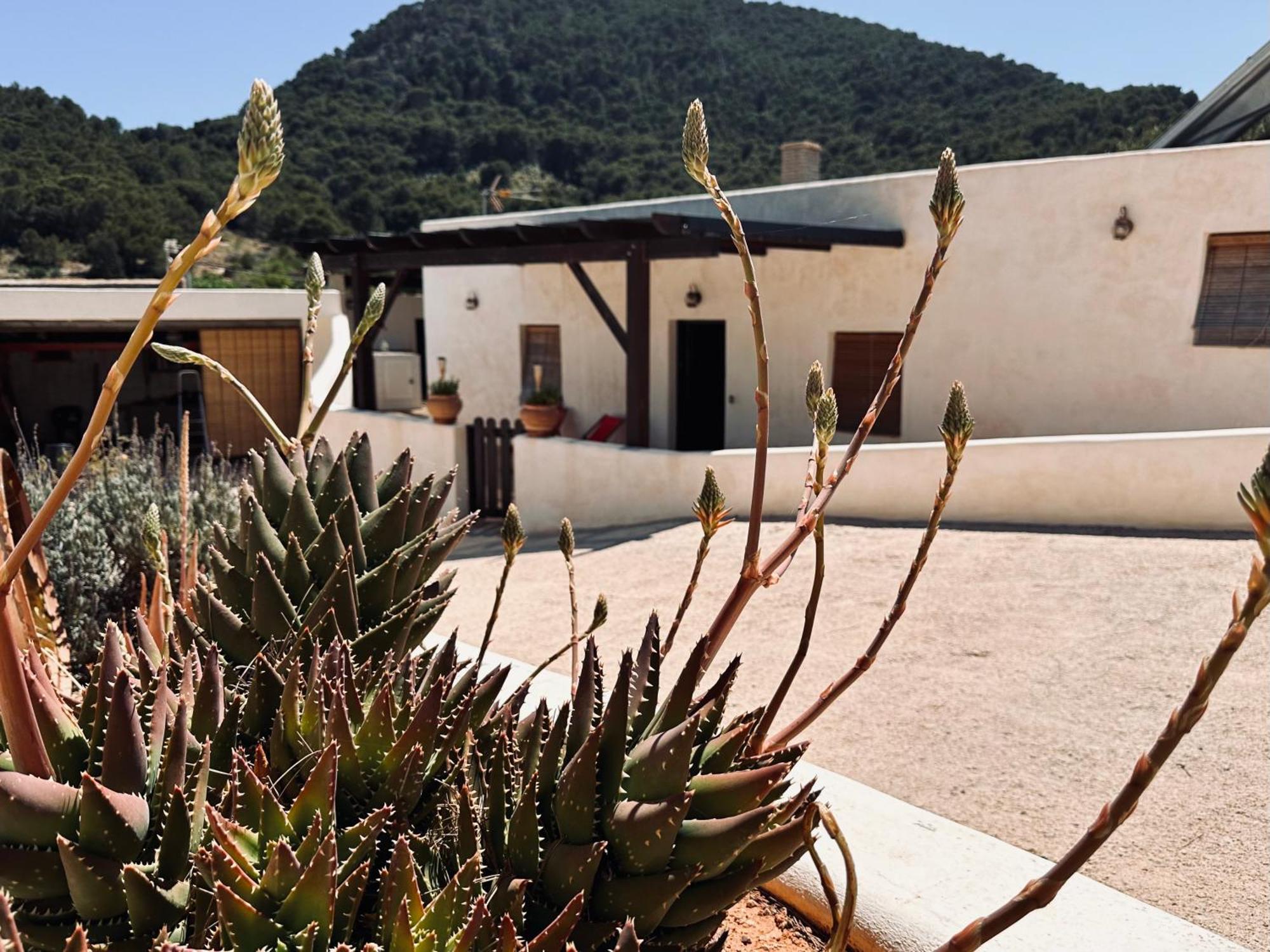 Finca Ocha - Calblanque Los Belones Exterior photo