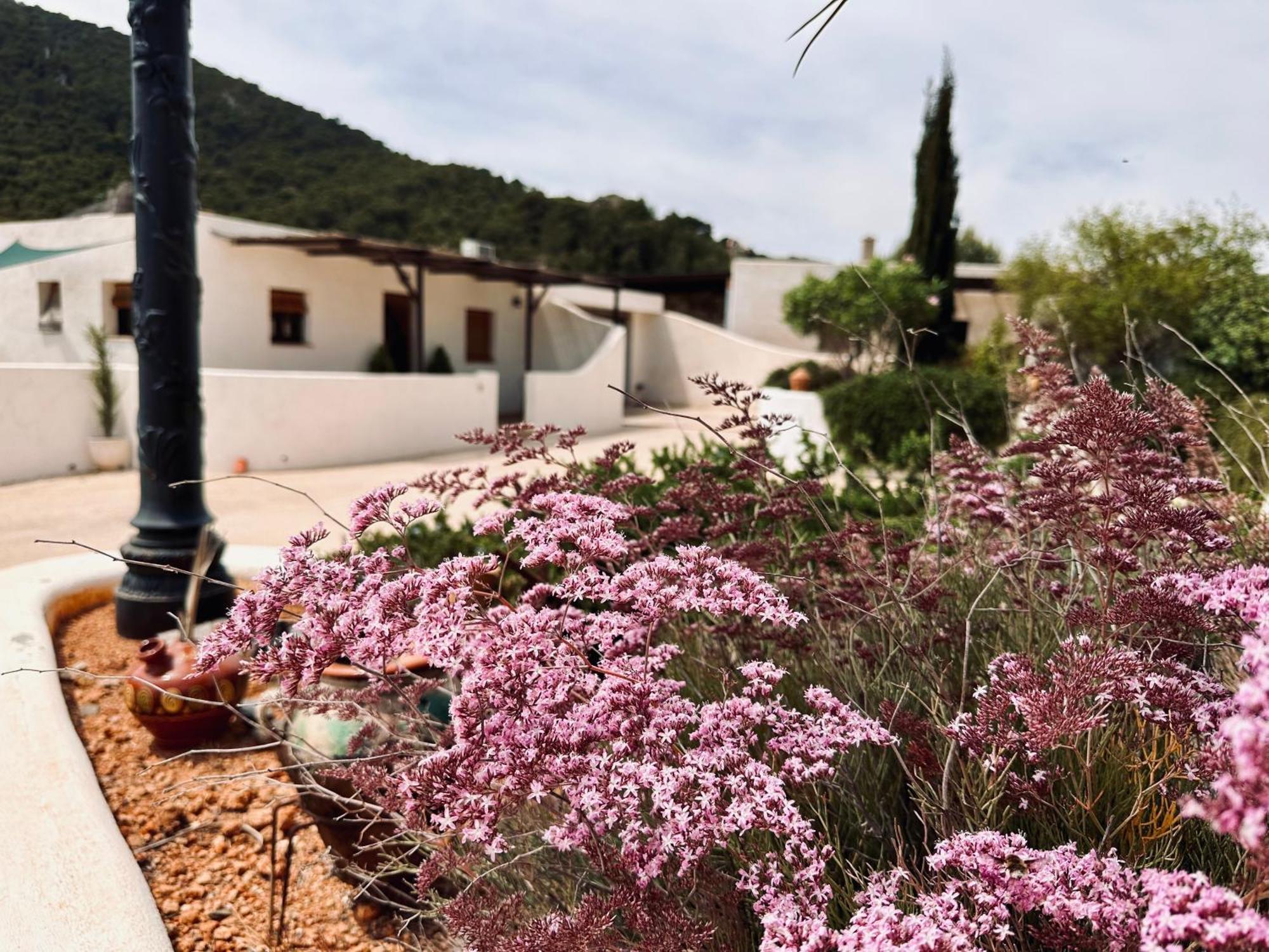 Finca Ocha - Calblanque Los Belones Exterior photo